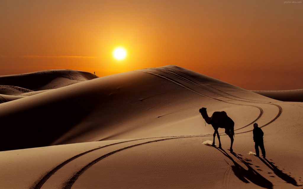 IranDeserts-IranTour-ZhinoPars