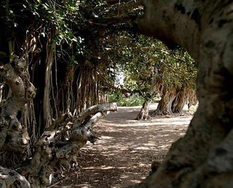 Baghu-village-Kish-Iran-zhinotours