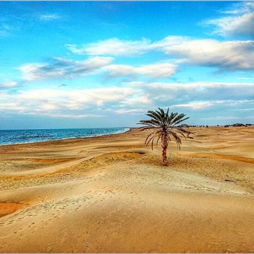 Iran-Chabahar-Darak-beach-Zhinotours