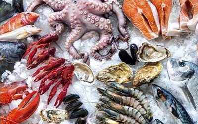 Qeshm-Qeshmfood-Iran-Zhinotours