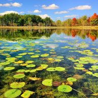 Bride of Persia Tour - Anzali Lagoon