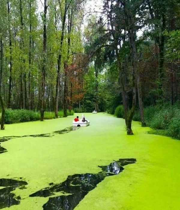 saravan-Park-Rasht-IranTour-ZhinoPars