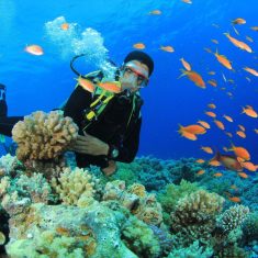 Incredible Persia Tour - Hendourabi